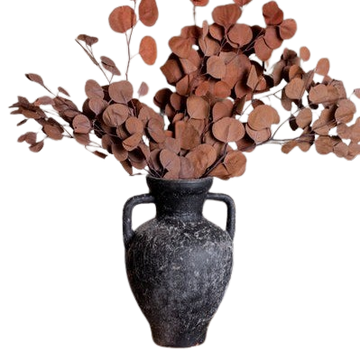 Eucalyptus Preserved Burgundy