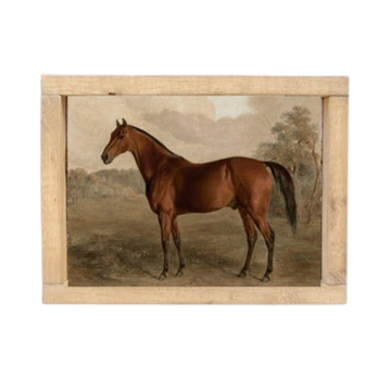 Vintage Framed Print Stallion