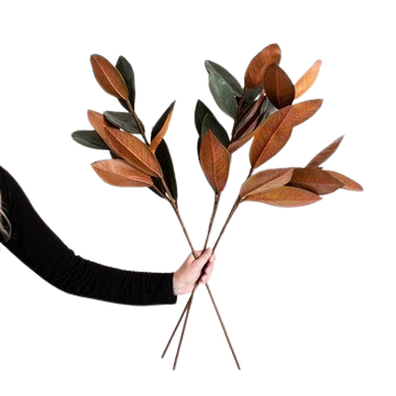Magnolia Faux Leaves
