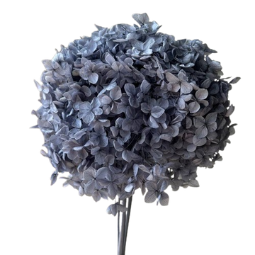 Preserved Hydrangeas, Dried Floral Décor