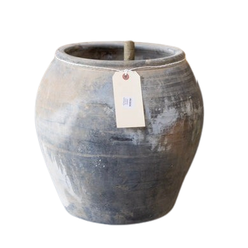 Atelier Black Vintage Olive Tree Pot