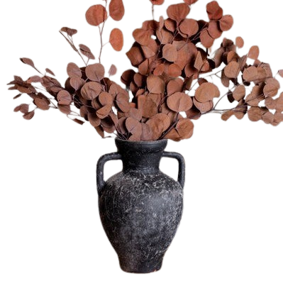 Eucalyptus Preserved Burgundy