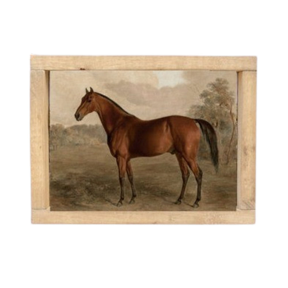 Vintage Framed Print Stallion