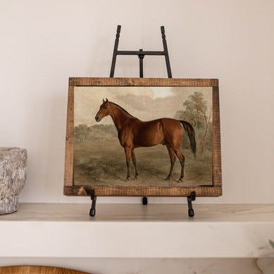 Vintage Framed Print Stallion