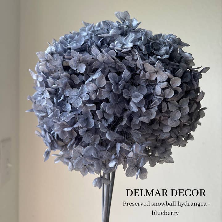 Preserved Hydrangeas, Dried Floral Décor