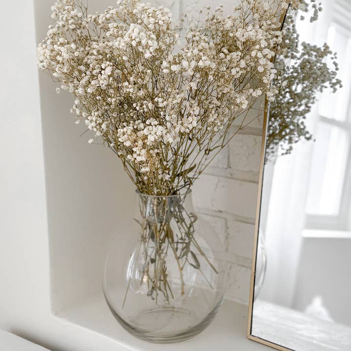 Natural Preserved Baby’s Breath