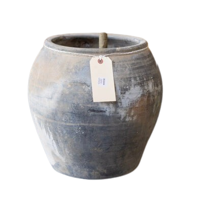 Atelier Black Vintage Olive Tree Pot