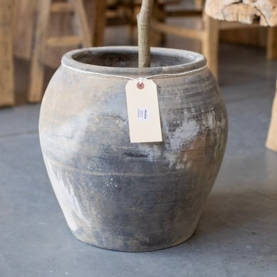 Atelier Black Vintage Olive Tree Pot